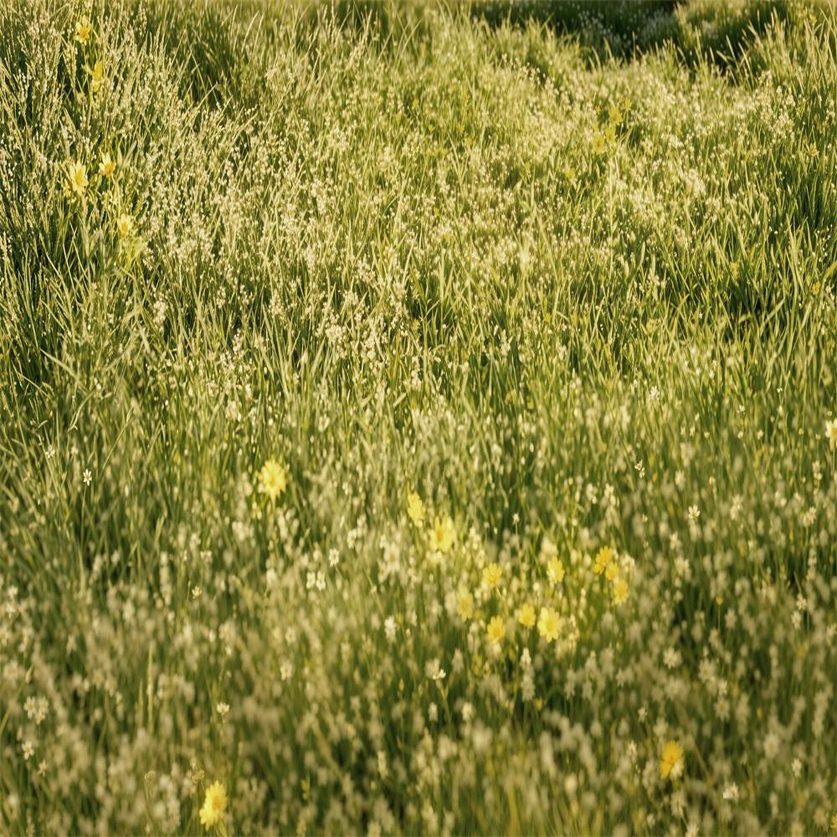 Kate Lush Grassland Rubber Floor Mat for Photography